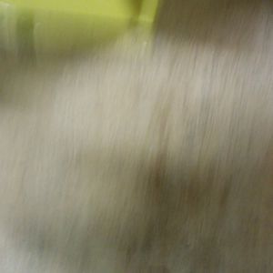 Meet your Posher, Lenora